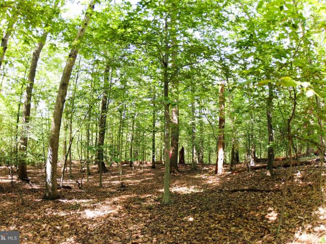 Land for sale in Accokeek, Maryland