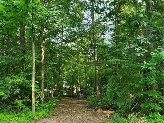 Land for sale in West Salem, Ohio