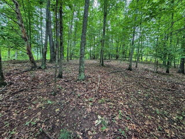 Land for sale in Sutton, West Virginia