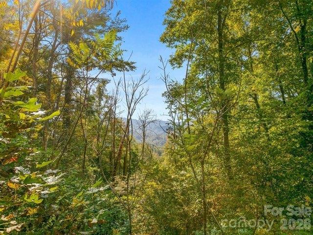 Land for sale in Marshall, North Carolina