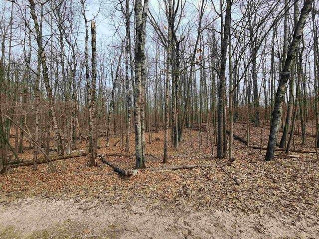 Land for sale in Clare, Michigan