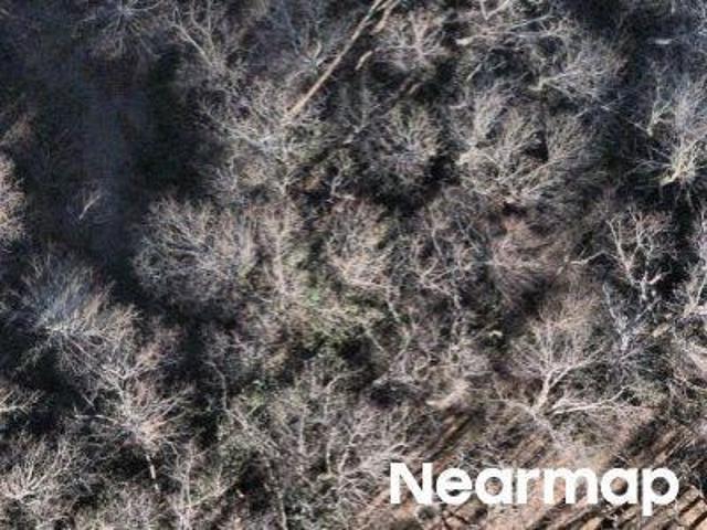 Land for sale in Black Mountain, North Carolina