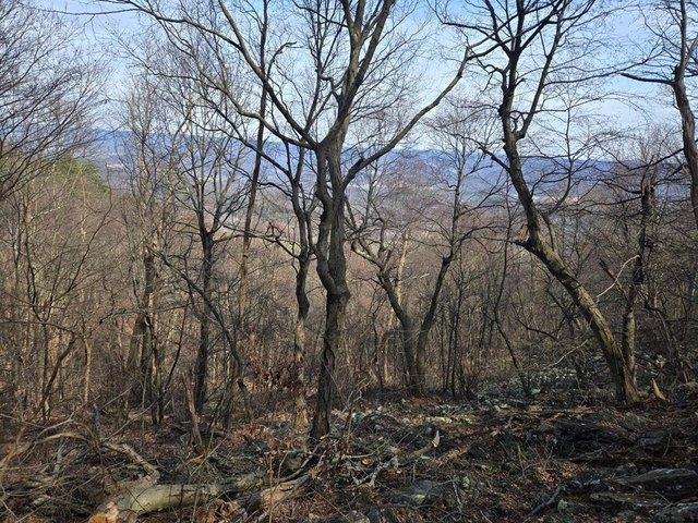 Land for sale in Three Springs, Pennsylvania