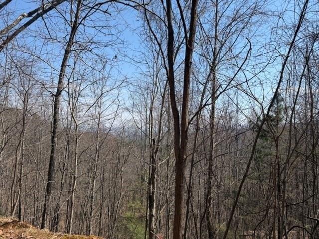 Land for sale in Brasstown, North Carolina