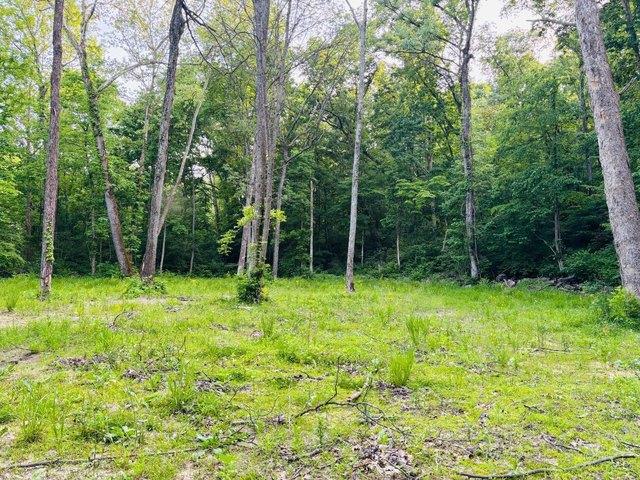 Land for sale in Laurel, Indiana