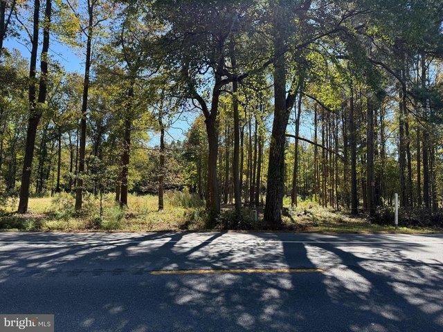 Land for sale in Millsboro, Sussex County