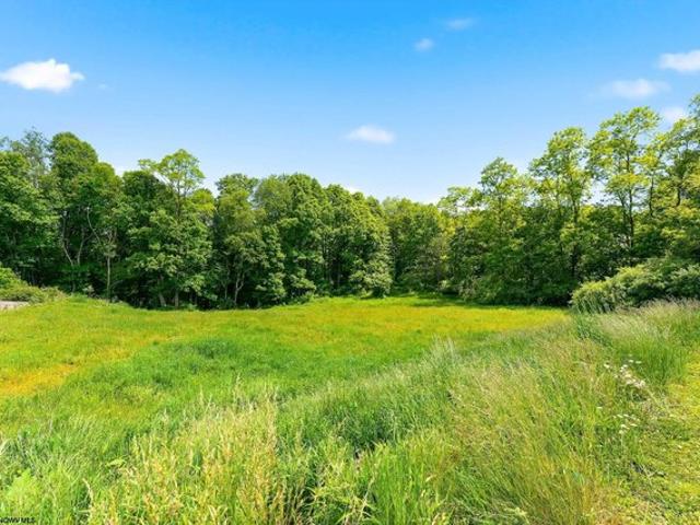 Land for sale in Bruceton Mills, West Virginia