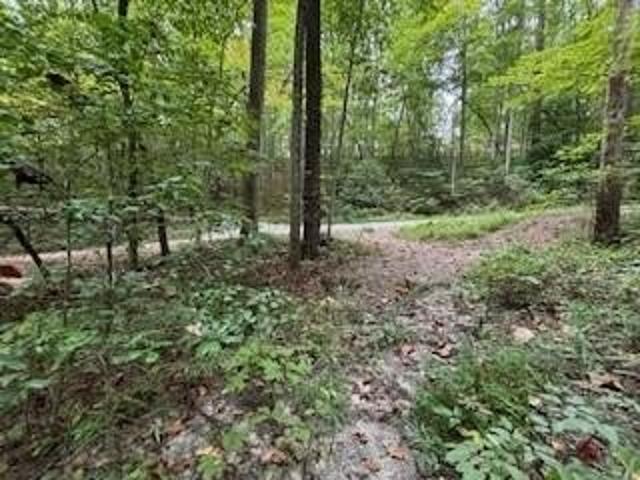 Land for sale in Bryson City, North Carolina