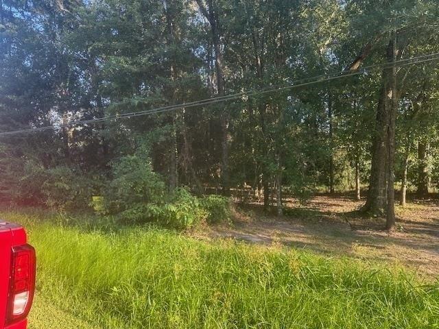 Land for sale in Vidor, Texas
