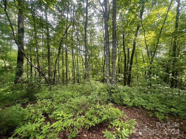 Land for sale in Brevard