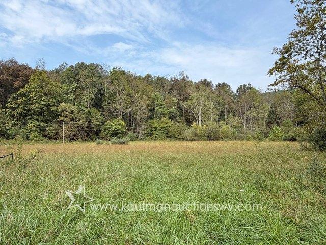 Land for sale in West Virginia