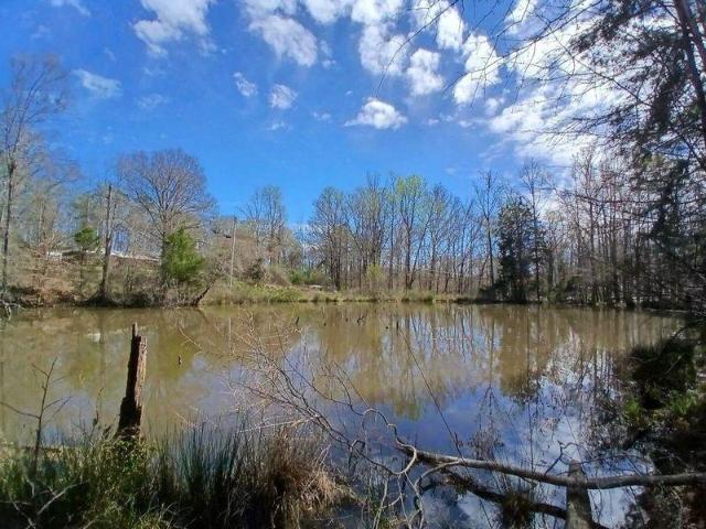 Land for sale in Laurens, South Carolina