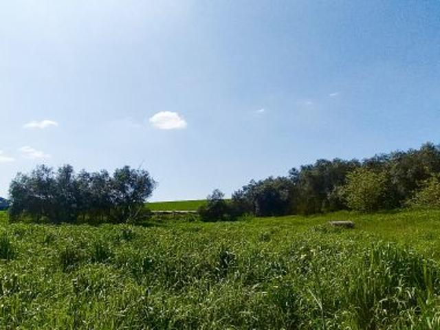 Terreno in vendita a Monte Migliore, Roma Capitale