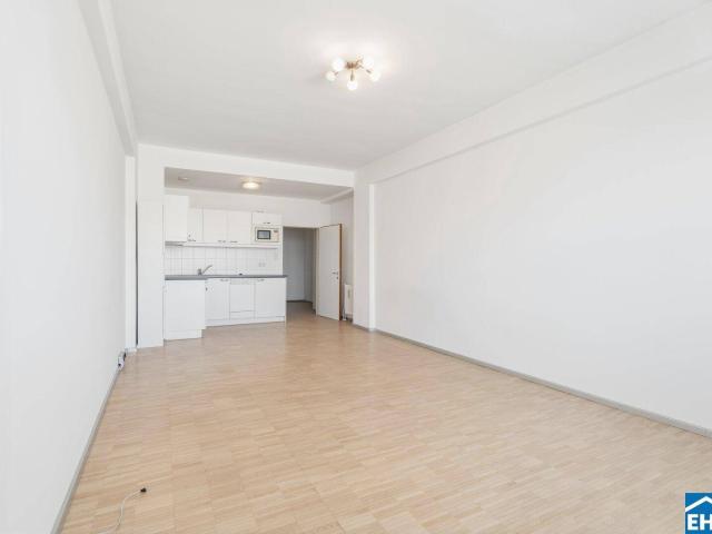 Apartment kaufen in Innere Stadt, Wien