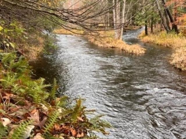 Land for sale in Acra, New York