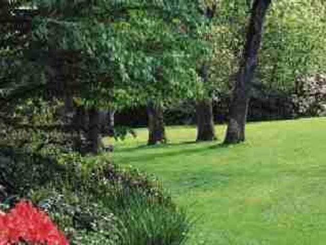 Apartment for rent in Arbutus-Ridge, Vancouver