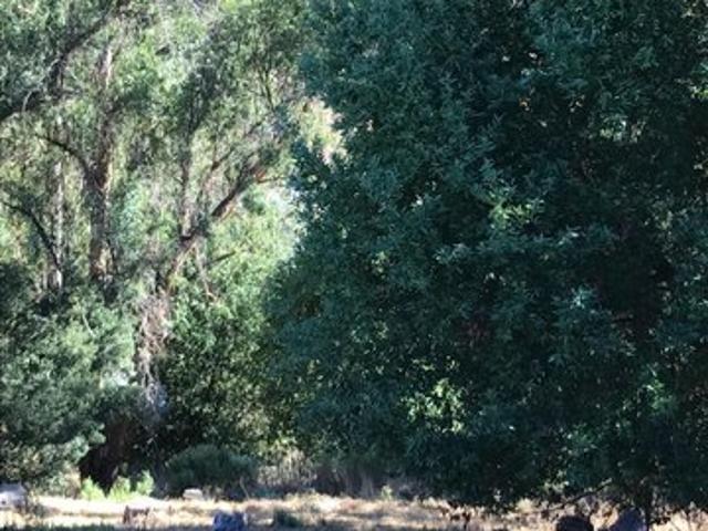 Land for sale in Oakland, California