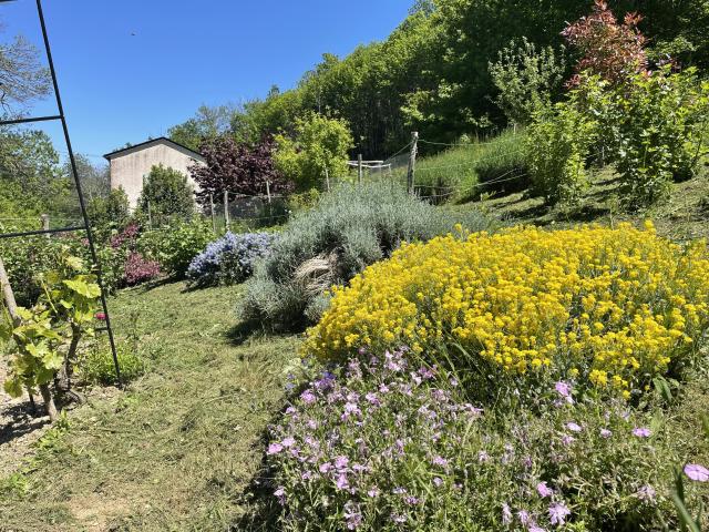 Maison vente à Millau, Laval-roquecezière