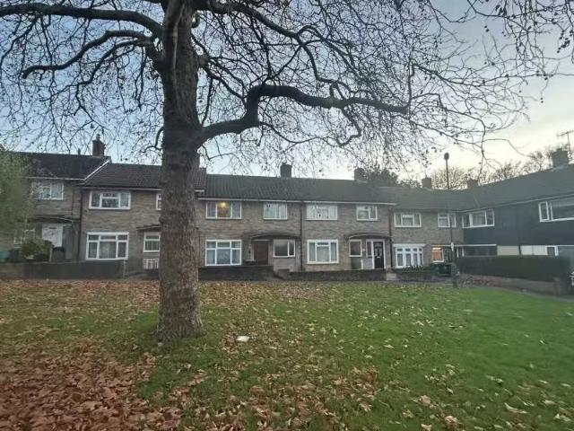 House for rent