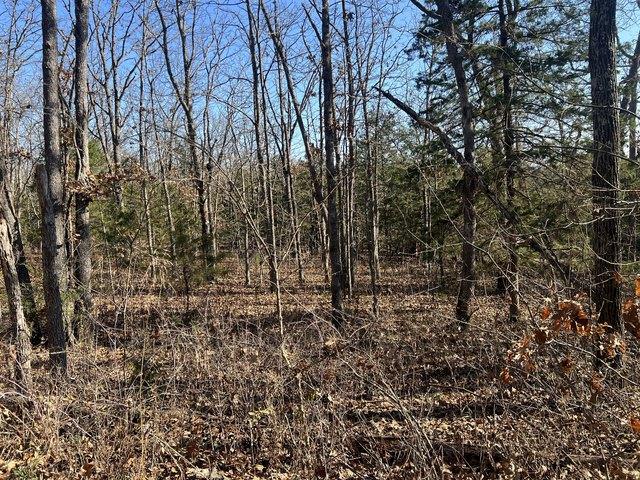Land for sale in Barnett, Missouri