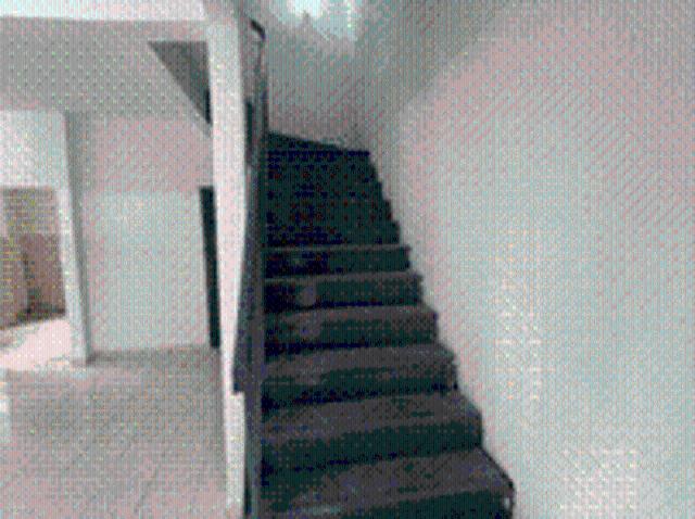House for rent in Selangor