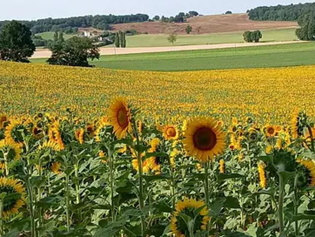 Maison vente à Marmande, Lavergne