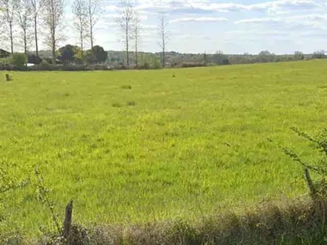 Terrain vente à Lavergne