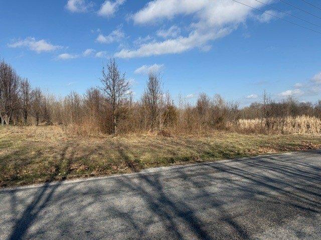 Land for sale in De Soto, Iowa