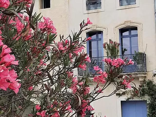 Maison vente à Montpellier, Lavérune