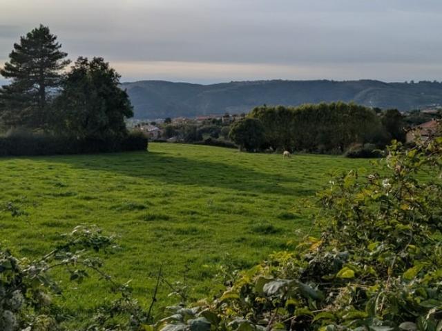Terrain vente à Laveyron, Drôme