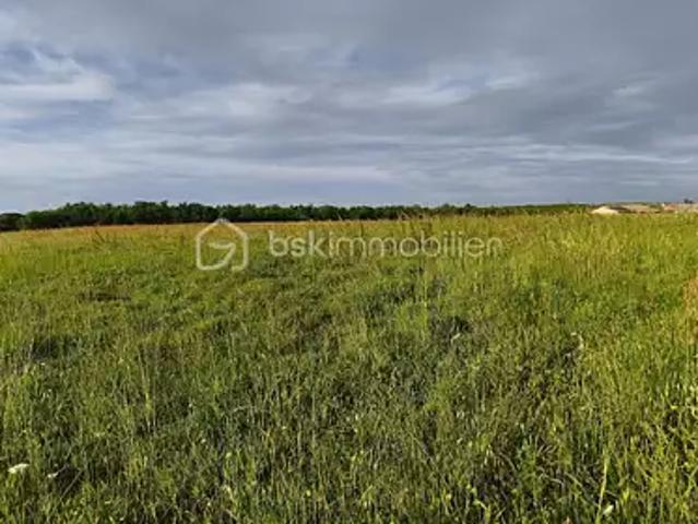 Terrain vente à Castelsarrasin, Lavit