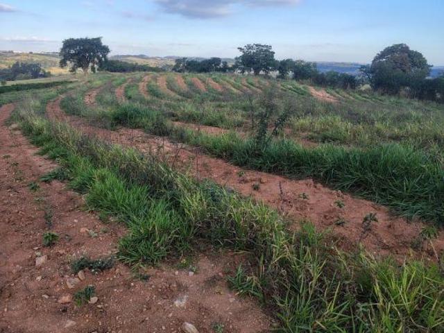 Sítio e chácara venda em Monte Santo de Minas, Região Geográfica Intermediária de Varginha