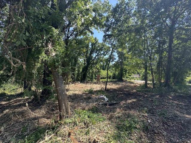 Land for sale in Woodruff, South Carolina