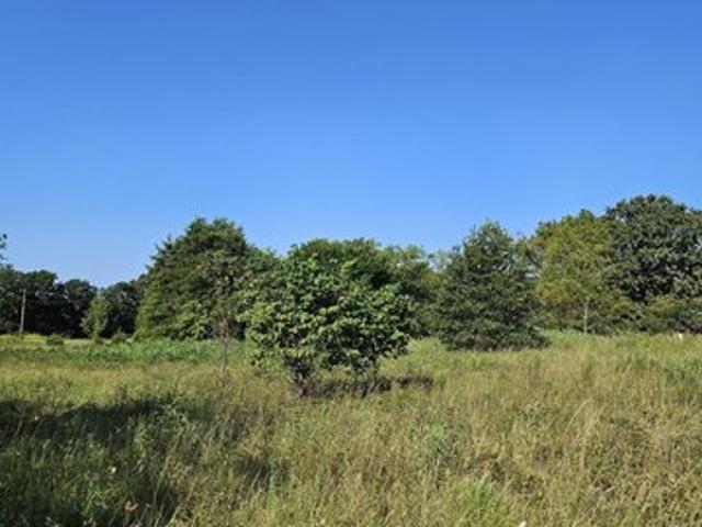Land for sale in Pierce City, Missouri