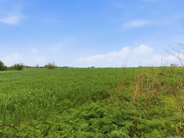 Land for sale in Marionville, Missouri