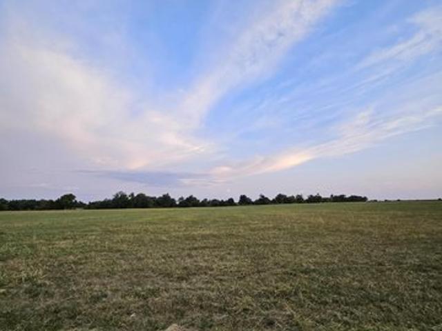Land for sale in Mount Vernon, Missouri