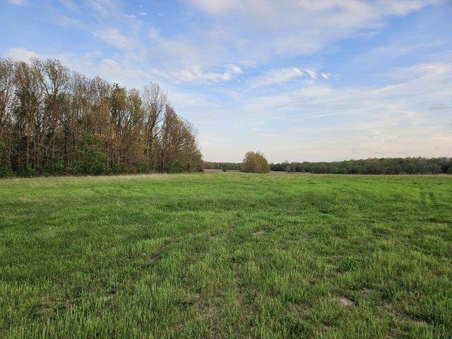 Land for sale in Barry, Missouri