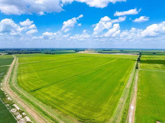 Land for sale in Alicia, Lawrence County