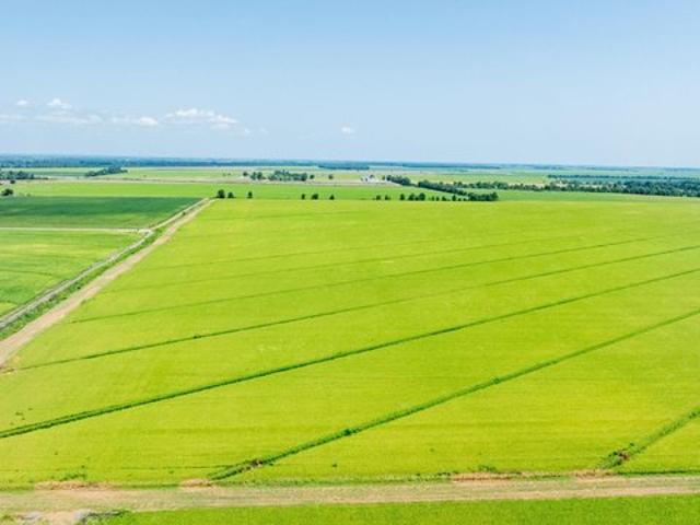 Farm for sale in Ark
