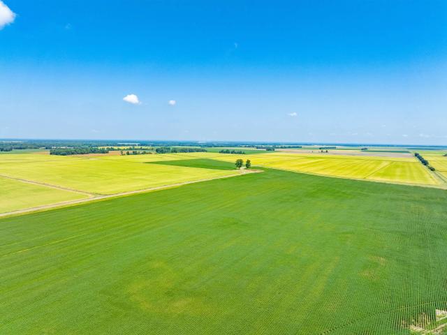 Land for sale in Ark