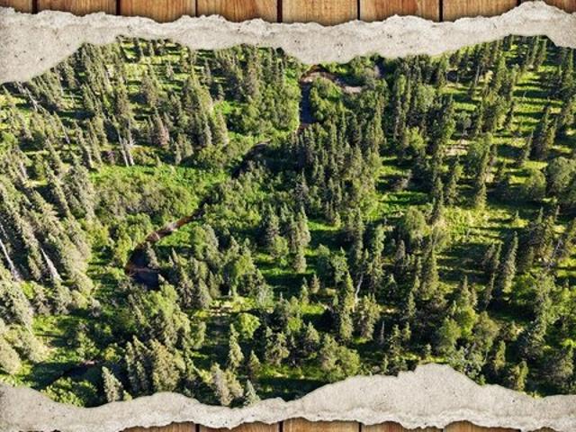 Land for sale in Ninilchik