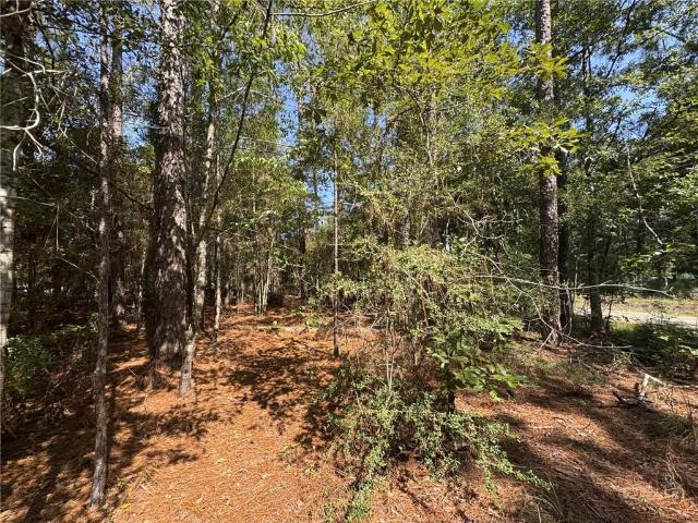 Land for sale in Franklinton, Louisiana