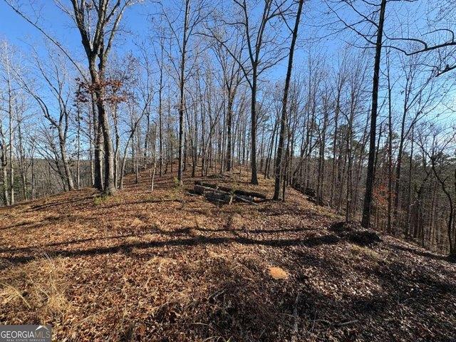 Land for sale in Dawsonville, Georgia