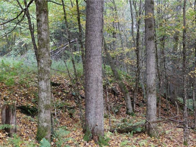 Land for sale in Gulf Summit, Town of Sanford