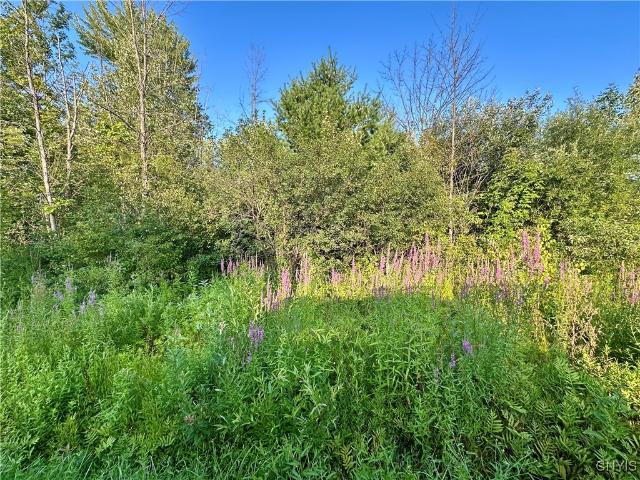 Land for sale in Oneida, New York