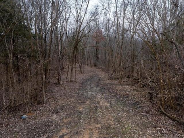 Land for sale in Williamstown, Kentucky