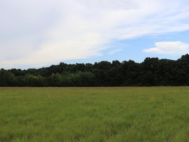 Land for sale in Tennessee