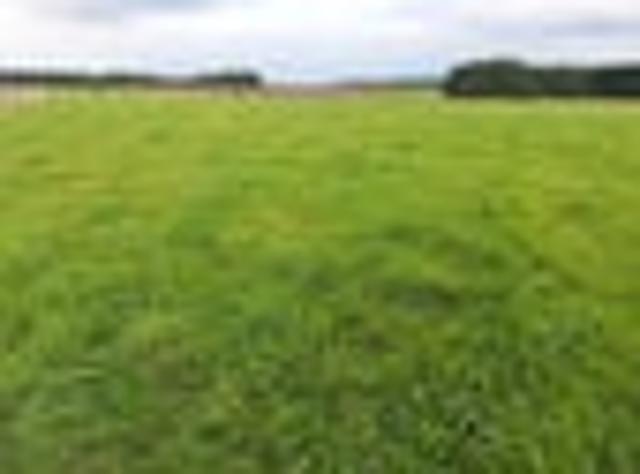 Land for sale in Tararua District