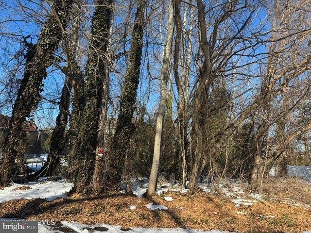 Land for sale in Pine Beach, New Jersey