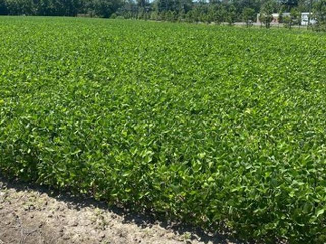 Land for sale in Crisfield, Maryland
